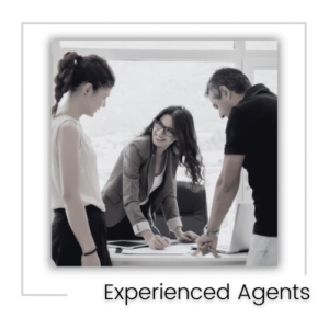Experienced Agents